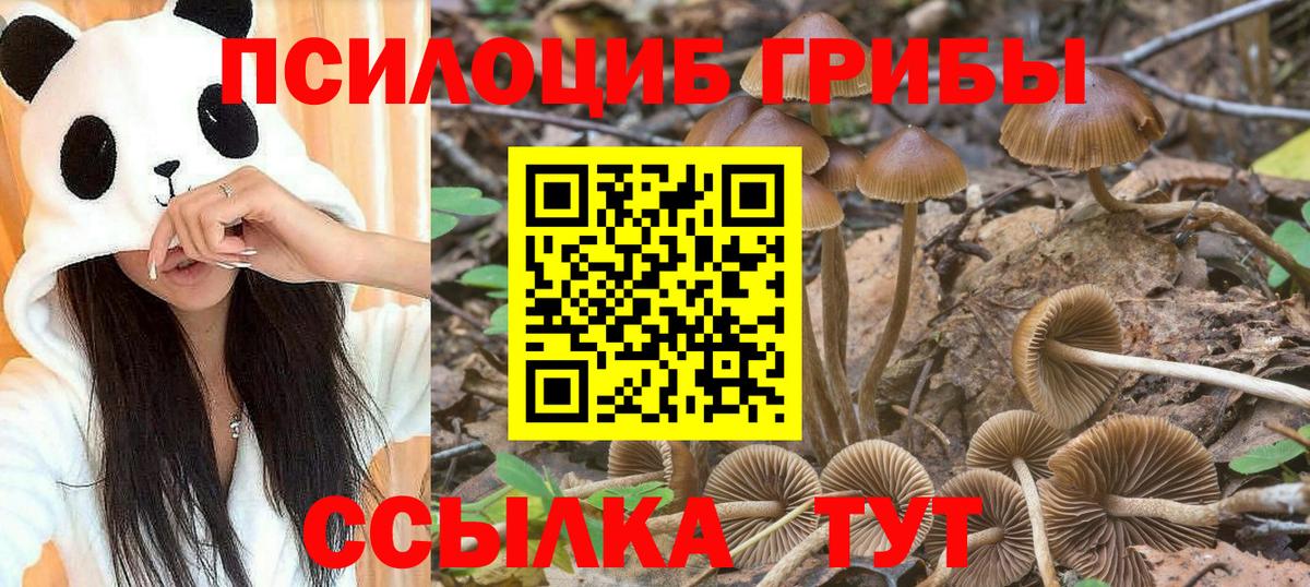 Псилоцибиновые грибы прущие грибы  Галлюциногенные грибы Magic Shrooms  Вход с VPN  Россия 